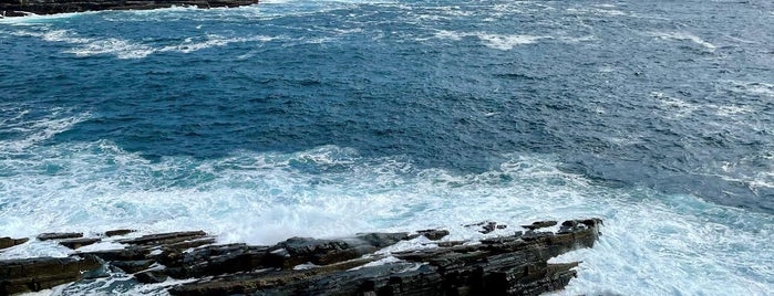 Kangaroo Island is one of สถานที่ที่ James ถูกใจ.