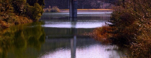 森と湖畔の公園 オートキャンプ場 is one of 別子翠波はな街道 Category:drive,sightseeing,gourmet.