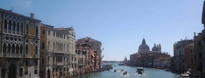 Ponte dell'Accademia is one of Posti che sono piaciuti a Angela Teresa.