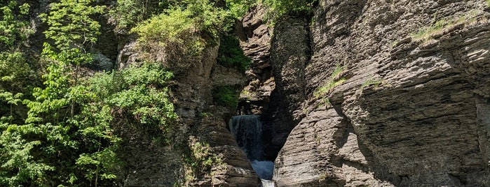 mine kill falls is one of Catskills.