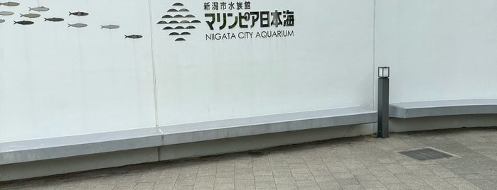 新潟市水族館 マリンピア日本海 is one of あみゅーずめんと.