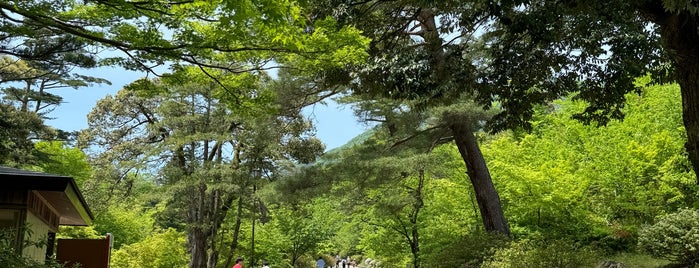 弥彦公園 is one of 公園.