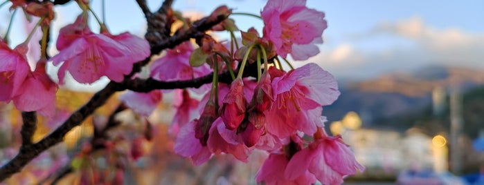 松原公園 is one of 日本の日本一･世界一あれこれ.