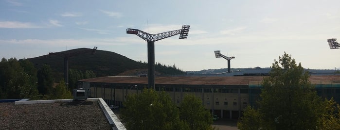 Estadio Multiusos de San Lázaro is one of Campos de fútbol.