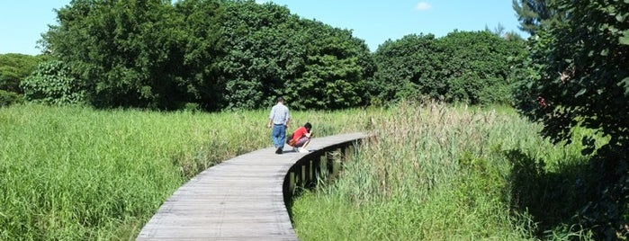 Hong Kong Wetland Park is one of cOkes’s Liked Places.