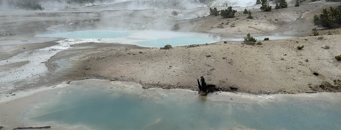 Norris Geyser Basin is one of Lizzieさんのお気に入りスポット.