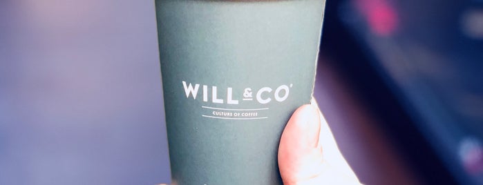 WILL & CO is one of In Sydney.