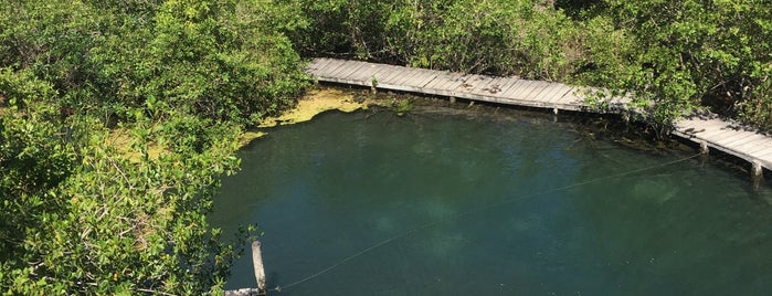 Yum-Balam is one of สถานที่ที่ Denis ถูกใจ.