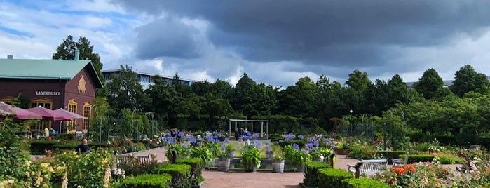 Rose Garden is one of Sights in Gothenburg.
