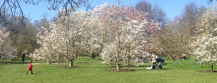 Royal Botanic Gardens is one of London.