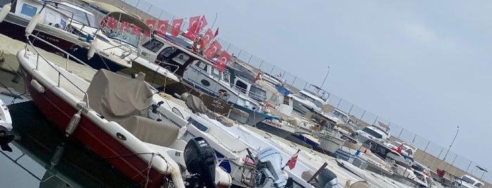 Mudanya Yat Limanı is one of Bursa-Silkworm list2.