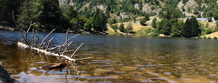 Lac des Truites (ou Lac Forlet) is one of Tempat yang Disukai Mael.