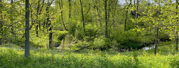 Heron Creek Forest Preserve is one of Forest Preserves.