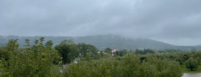 Hartland Farm is one of Apple farms.