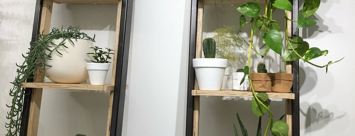 Pop Up Florist is one of Plants 🌱 NYC.