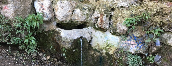 Fuente De La Bicha is one of La Granada de los ‘granaínos’ (El País).