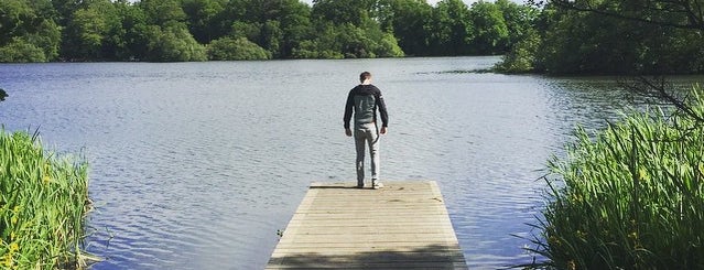 Bolam Lake Country Park is one of Family days.