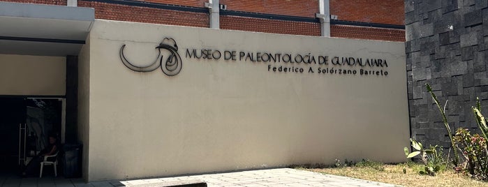 Museo de Paleontología de Guadalajara "Federico A. Solórzano Barreto" is one of Galerías y Museos @ GDL.