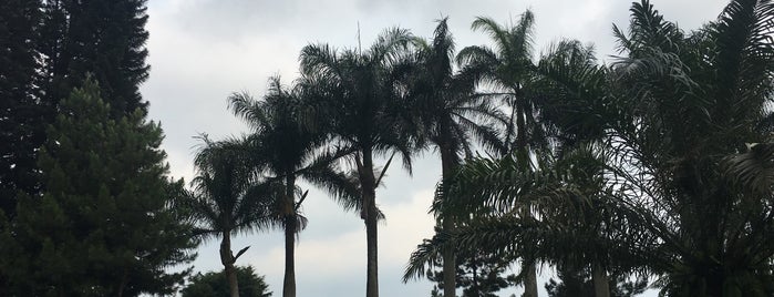 Puteri Gunung Hotel & Conference is one of Tempat yang Disukai Fanina.