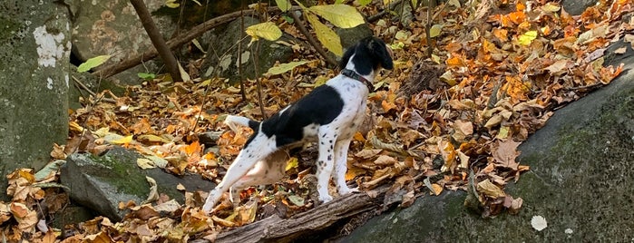 Governor Dick is one of Hiking.