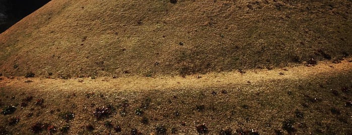 高松塚古墳 is one of 西日本の古墳 Acient Tombs in Western Japan.