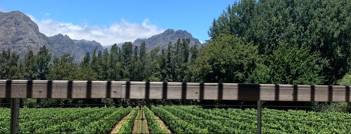 Thelema Wine Farm is one of Stellenbosch.