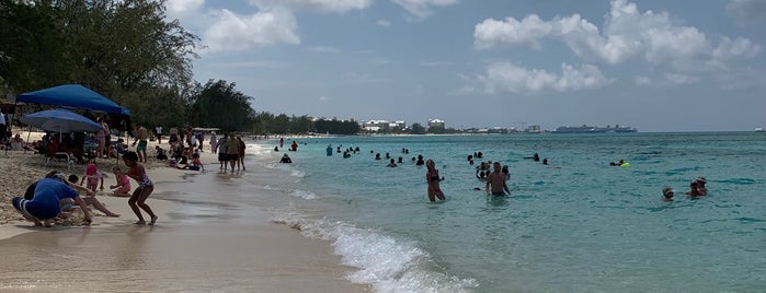 Seven Mile Beach is one of Grand Cayman.