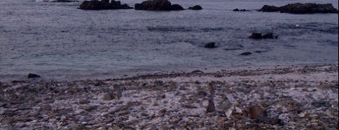 Playa Blanca is one of Posti che sono piaciuti a Paulo.