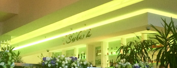 Sasha's Bar is one of Tempat yang Disukai Janna.