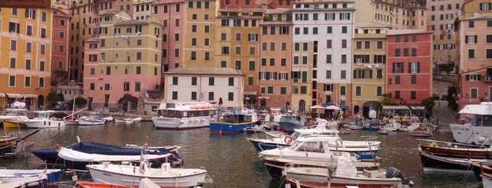 Porticciolo di Camogli is one of Dadeさんのお気に入りスポット.