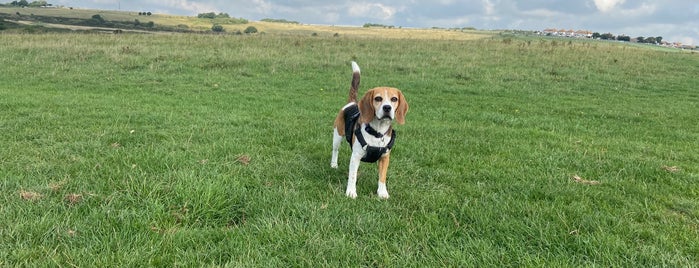 Sheepcote Valley is one of Posti che sono piaciuti a Richard.