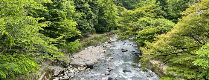 清滝川 is one of Kyoto.