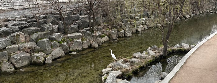 Cheonggyecheon Stream is one of Seoul.