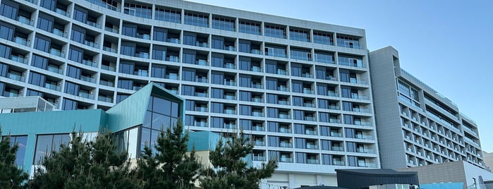 Hilton Busan is one of 부산.