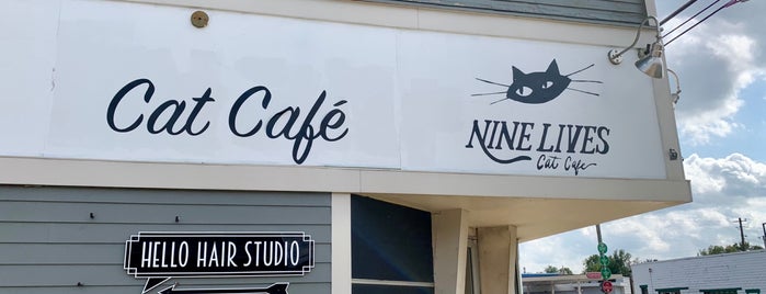 Nine Lives Cat Cafe is one of Tempat yang Disukai Rew.