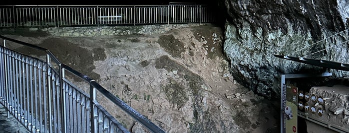 Sloupsko-šošůvské jeskyně is one of Tsjechië.