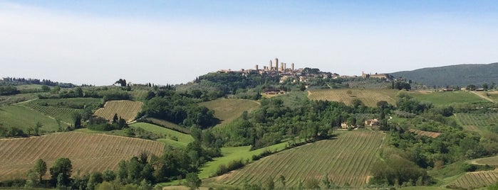 Fattoria Poggio Alloro is one of San Gimignano.