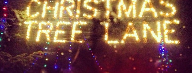Christmas Tree Lane is one of Locais curtidos por Ashley.