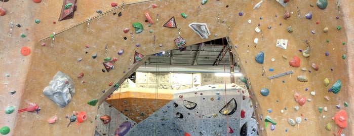 Toronto Climbing Academy is one of Things to Do in Toronto.