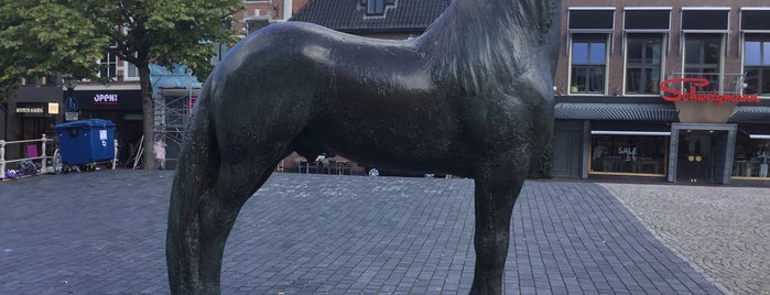 Het Friese Paard is one of Leeuwarden.