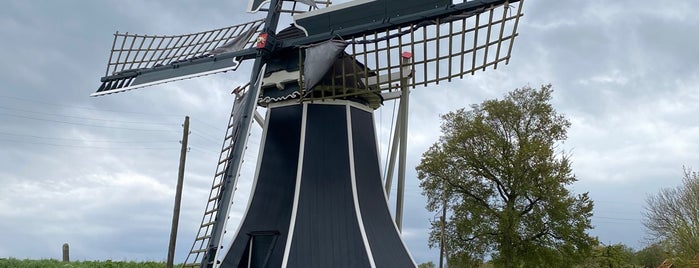 Zuiderzeemuseum is one of Museums that accept museum card.