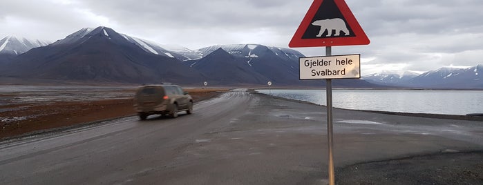 Polar Bear Sign is one of Orte, die Finn gefallen.