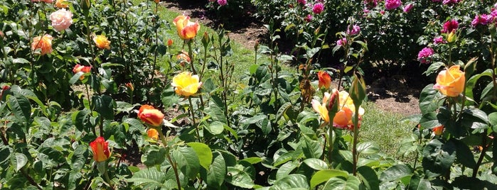 International Rose Test Garden is one of Portland veg*n.