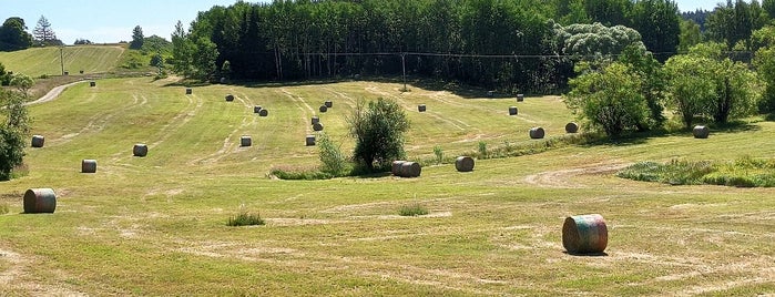 Železniční zastávka Bílek is one of Železniční stanice ČR: A-C (1/14).