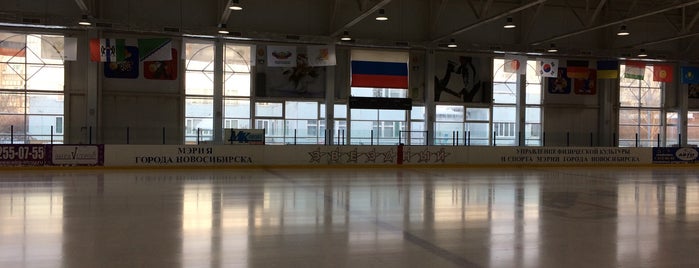 Ледовый Дворец Спорта "Звездный" is one of สถานที่ที่ Тетя ถูกใจ.