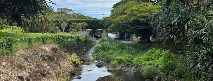 Liliuokulani Botanical Garden is one of Honolulu Oahu.