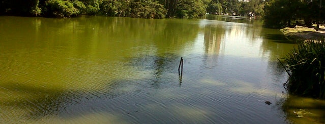 Paseo del Bosque is one of La Plata.