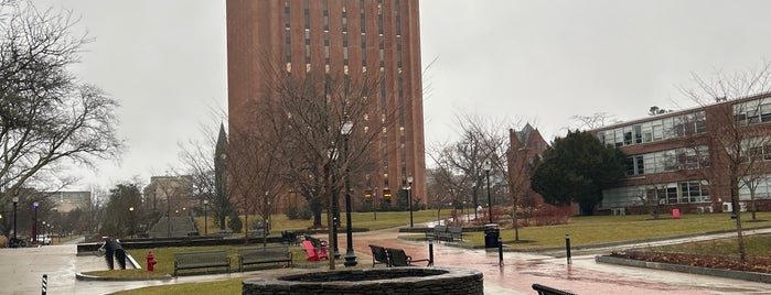 University of Massachusetts Amherst is one of สถานที่ที่ Michael ถูกใจ.