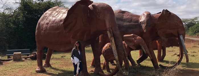 Nairobi National Park is one of 2018 Safari Adventure.