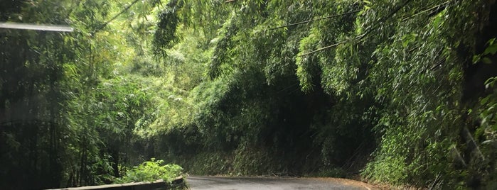 Road to Hana (Hana Highway) is one of Tempat yang Disukai Mark.